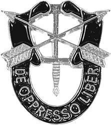 SPECIAL FORCES SF Hat Pin DE OPPRESSO LIBER  